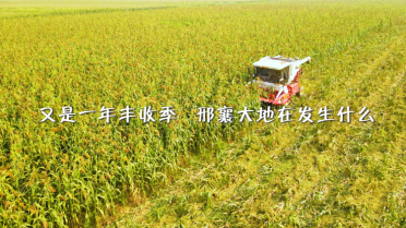 _(ti)S箋(hu) ˡS